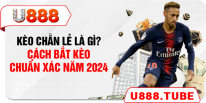 Kèo chẵn lẻ Là Gì? Cách Bắt Kèo Chuẩn Xác Năm 2024